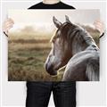 Picture of Horse & the Horizon _GroupedProduct_Rectangle_Landscape_Photography _GroupedProduct_Rectangle_Landscape_Canvas_
