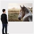 Picture of Horse & the Horizon _GroupedProduct_Rectangle_Landscape_Photography _GroupedProduct_Rectangle_Landscape_Canvas_