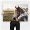 Picture of Horse & the Horizon _GroupedProduct_Rectangle_Landscape_Photography _GroupedProduct_Rectangle_Landscape_Canvas_