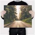 Picture of Foggy Straight Redwood Highway _GroupedProduct_Rectangle_Landscape_Photography _GroupedProduct_Rectangle_Landscape_Canvas_