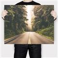 Picture of Foggy Straight Redwood Highway _GroupedProduct_Rectangle_Landscape_Photography _GroupedProduct_Rectangle_Landscape_Canvas_