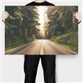 Picture of Foggy Straight Redwood Highway _GroupedProduct_Rectangle_Landscape_Photography _GroupedProduct_Rectangle_Landscape_Canvas_