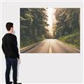 Picture of Foggy Straight Redwood Highway _GroupedProduct_Rectangle_Landscape_Photography _GroupedProduct_Rectangle_Landscape_Canvas_