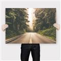 Picture of Foggy Straight Redwood Highway _GroupedProduct_Rectangle_Landscape_Photography _GroupedProduct_Rectangle_Landscape_Canvas_