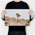 Picture of Dessert Tree _GroupedProduct_Rectangle_Landscape_Photography _GroupedProduct_Rectangle_Landscape_Canvas_