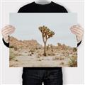 Picture of Dessert Tree _GroupedProduct_Rectangle_Landscape_Photography _GroupedProduct_Rectangle_Landscape_Canvas_