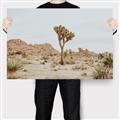 Picture of Dessert Tree _GroupedProduct_Rectangle_Landscape_Photography _GroupedProduct_Rectangle_Landscape_Canvas_
