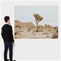 Picture of Dessert Tree _GroupedProduct_Rectangle_Landscape_Photography _GroupedProduct_Rectangle_Landscape_Canvas_