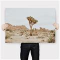 Picture of Dessert Tree _GroupedProduct_Rectangle_Landscape_Photography _GroupedProduct_Rectangle_Landscape_Canvas_
