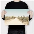 Picture of Cactus Row _GroupedProduct_Rectangle_Landscape_Photography _GroupedProduct_Rectangle_Landscape_Canvas_