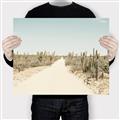 Picture of Cactus Row _GroupedProduct_Rectangle_Landscape_Photography _GroupedProduct_Rectangle_Landscape_Canvas_