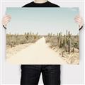Picture of Cactus Row _GroupedProduct_Rectangle_Landscape_Photography _GroupedProduct_Rectangle_Landscape_Canvas_