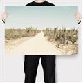 Picture of Cactus Row _GroupedProduct_Rectangle_Landscape_Photography _GroupedProduct_Rectangle_Landscape_Canvas_
