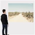Picture of Cactus Row _GroupedProduct_Rectangle_Landscape_Photography _GroupedProduct_Rectangle_Landscape_Canvas_