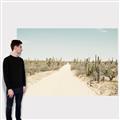 Picture of Cactus Row _GroupedProduct_Rectangle_Landscape_Photography _GroupedProduct_Rectangle_Landscape_Canvas_