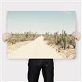 Picture of Cactus Row _GroupedProduct_Rectangle_Landscape_Photography _GroupedProduct_Rectangle_Landscape_Canvas_