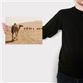 Picture of Camel Walk _GroupedProduct_Rectangle_Landscape_Photography _GroupedProduct_Rectangle_Landscape_Canvas_