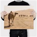Picture of Camel Walk _GroupedProduct_Rectangle_Landscape_Photography _GroupedProduct_Rectangle_Landscape_Canvas_