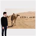 Picture of Camel Walk _GroupedProduct_Rectangle_Landscape_Photography _GroupedProduct_Rectangle_Landscape_Canvas_