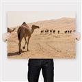Picture of Camel Walk _GroupedProduct_Rectangle_Landscape_Photography _GroupedProduct_Rectangle_Landscape_Canvas_