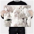 Picture of Fluffy Florals _GroupedProduct_Rectangle_Landscape_Photography _GroupedProduct_Rectangle_Landscape_Canvas_