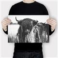 Picture of Bull in the Grass _GroupedProduct_Rectangle_Landscape_Photography _GroupedProduct_Rectangle_Landscape_Canvas_
