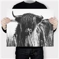 Picture of Bull in the Grass _GroupedProduct_Rectangle_Landscape_Photography _GroupedProduct_Rectangle_Landscape_Canvas_
