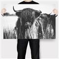 Picture of Bull in the Grass _GroupedProduct_Rectangle_Landscape_Photography _GroupedProduct_Rectangle_Landscape_Canvas_