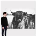 Picture of Bull in the Grass _GroupedProduct_Rectangle_Landscape_Photography _GroupedProduct_Rectangle_Landscape_Canvas_