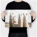 Picture of Llama Fam _GroupedProduct_Rectangle_Landscape_Photography _GroupedProduct_Rectangle_Landscape_Canvas_
