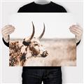 Picture of Annie, the Spotted Cow III _GroupedProduct_Rectangle_Landscape_Photography _GroupedProduct_Rectangle_Landscape_Canvas_