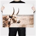 Picture of Annie, the Spotted Cow III _GroupedProduct_Rectangle_Landscape_Photography _GroupedProduct_Rectangle_Landscape_Canvas_