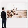 Picture of Annie, the Spotted Cow III _GroupedProduct_Rectangle_Landscape_Photography _GroupedProduct_Rectangle_Landscape_Canvas_
