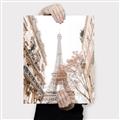 Picture of Paris in the Fall _GroupedProduct_Rectangle_Portrait_Photography _GroupedProduct_Rectangle_Portrait_Canvas_