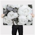 Picture of White Blooms _GroupedProduct_Rectangle_Landscape_Photography _GroupedProduct_Rectangle_Landscape_Canvas_