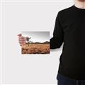 Picture of One Tree _GroupedProduct_Rectangle_Landscape_Photography _GroupedProduct_Rectangle_Landscape_Canvas_