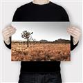 Picture of One Tree _GroupedProduct_Rectangle_Landscape_Photography _GroupedProduct_Rectangle_Landscape_Canvas_