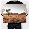 Picture of One Tree _GroupedProduct_Rectangle_Landscape_Photography _GroupedProduct_Rectangle_Landscape_Canvas_