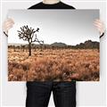Picture of One Tree _GroupedProduct_Rectangle_Landscape_Photography _GroupedProduct_Rectangle_Landscape_Canvas_