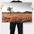 Picture of One Tree _GroupedProduct_Rectangle_Landscape_Photography _GroupedProduct_Rectangle_Landscape_Canvas_