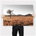 Picture of One Tree _GroupedProduct_Rectangle_Landscape_Photography _GroupedProduct_Rectangle_Landscape_Canvas_