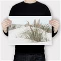 Picture of Sand Dunes _GroupedProduct_Rectangle_Landscape_Photography _GroupedProduct_Rectangle_Landscape_Canvas_