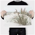 Picture of Sand Dunes _GroupedProduct_Rectangle_Landscape_Photography _GroupedProduct_Rectangle_Landscape_Canvas_