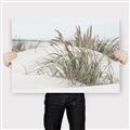 Picture of Sand Dunes _GroupedProduct_Rectangle_Landscape_Photography _GroupedProduct_Rectangle_Landscape_Canvas_
