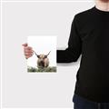 Picture of Cow on the Range _GroupedProduct_Rectangle_Portrait_Photography _GroupedProduct_Rectangle_Portrait_Canvas_