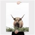 Picture of Cow on the Range _GroupedProduct_Rectangle_Portrait_Photography _GroupedProduct_Rectangle_Portrait_Canvas_