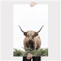 Picture of Cow on the Range _GroupedProduct_Rectangle_Portrait_Photography _GroupedProduct_Rectangle_Portrait_Canvas_