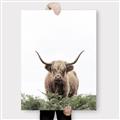 Picture of Cow on the Range _GroupedProduct_Rectangle_Portrait_Photography _GroupedProduct_Rectangle_Portrait_Canvas_