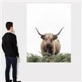 Picture of Cow on the Range _GroupedProduct_Rectangle_Portrait_Photography _GroupedProduct_Rectangle_Portrait_Canvas_