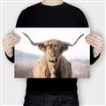 Picture of Shaggy Bull II _GroupedProduct_Rectangle_Landscape_Photography _GroupedProduct_Rectangle_Landscape_Canvas_